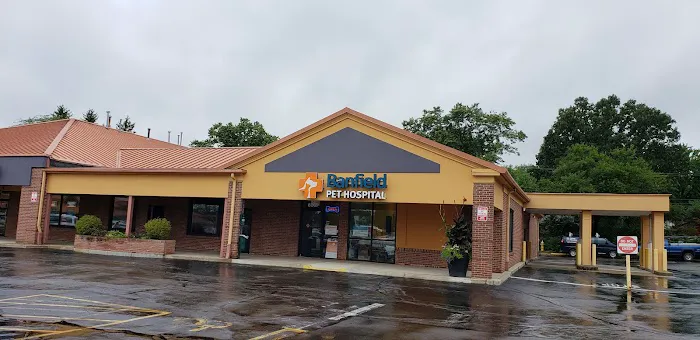 Banfield Pet Hospital 12