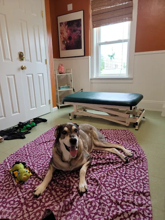 Veterinary Alternatives Centerville 12