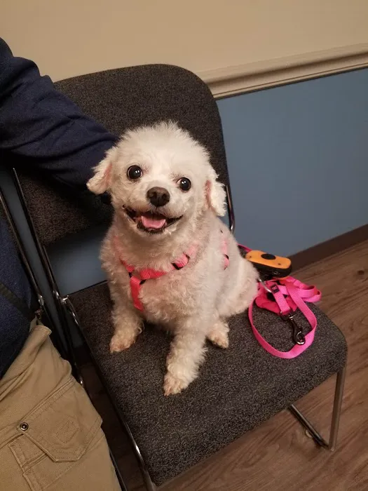 Far Hills Animal Clinic 2