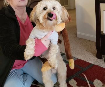 Miami Valley Animal Hospital