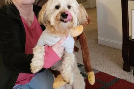 Miami Valley Animal Hospital