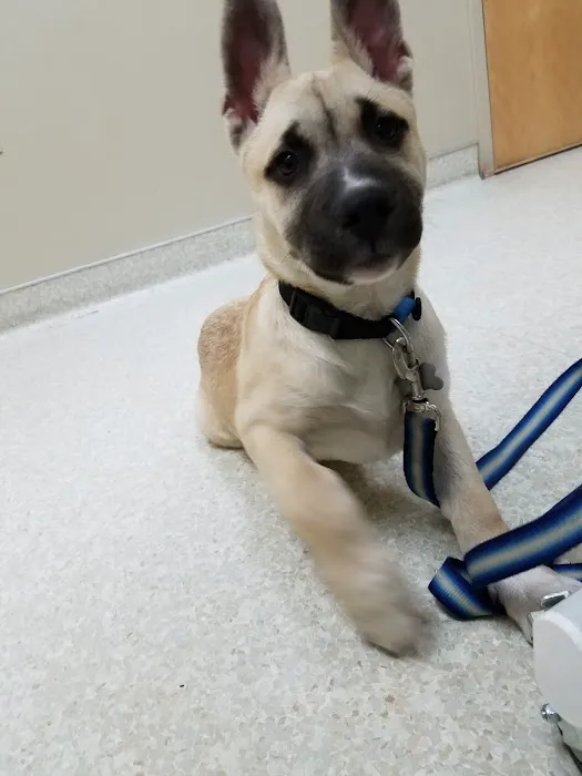 Miami Valley Animal Hospital 12