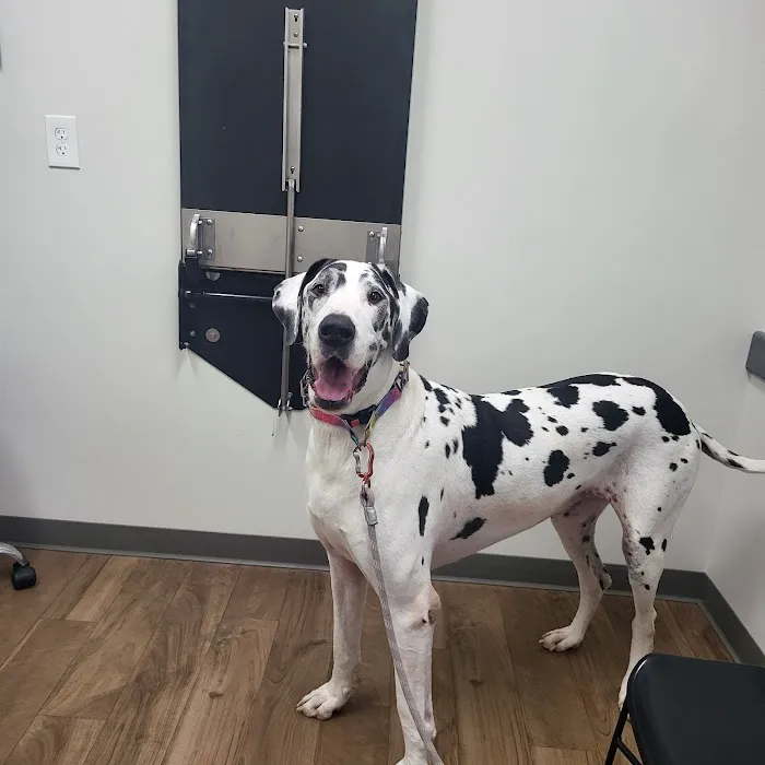 Heartland Vet Care 12