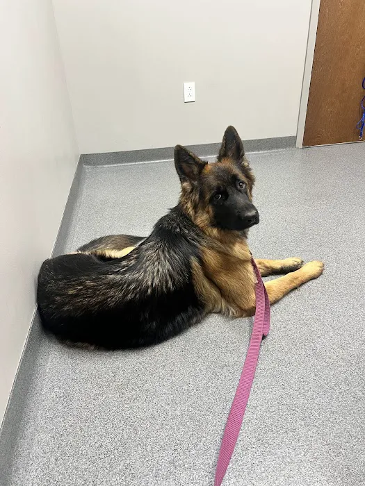 Ingalls Pet Wellness Clinic 1