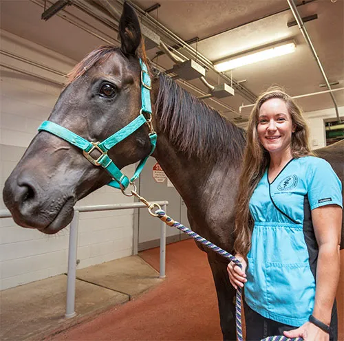Caesars Entertainment Equine Specialty Hospital 12