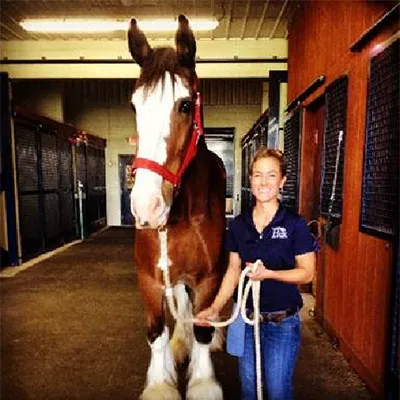 Caesars Entertainment Equine Specialty Hospital 12
