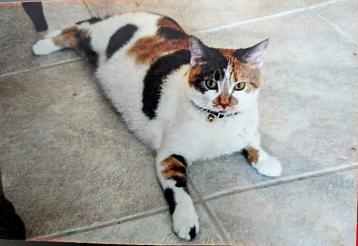 Greensburg Veterinary Clinic 12