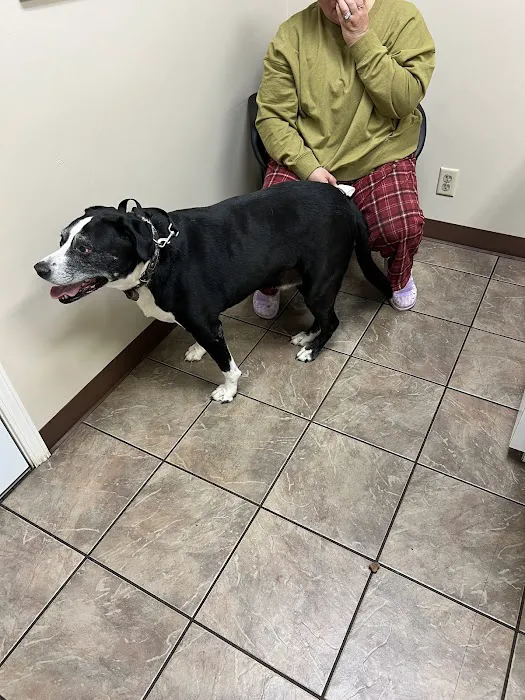 Greensburg Veterinary Clinic 12