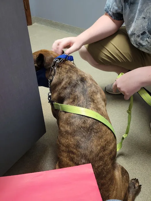 Animal Medical Hospital LLP 12