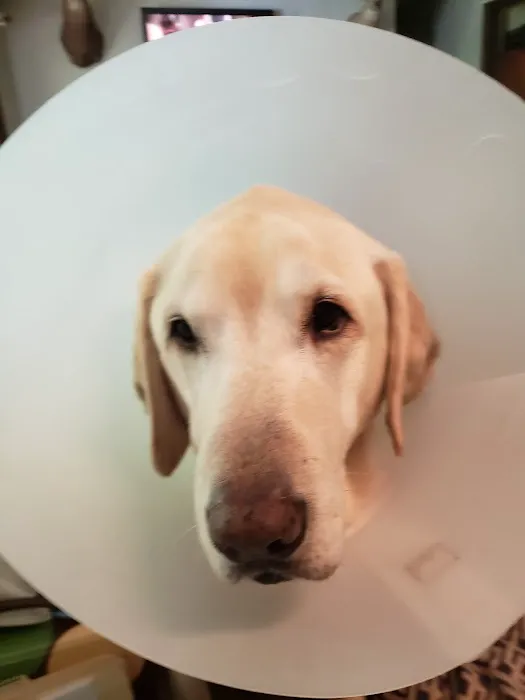 Animal Medical Hospital LLP 12