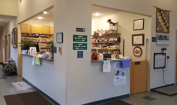 College Mall Veterinary Hospital 3