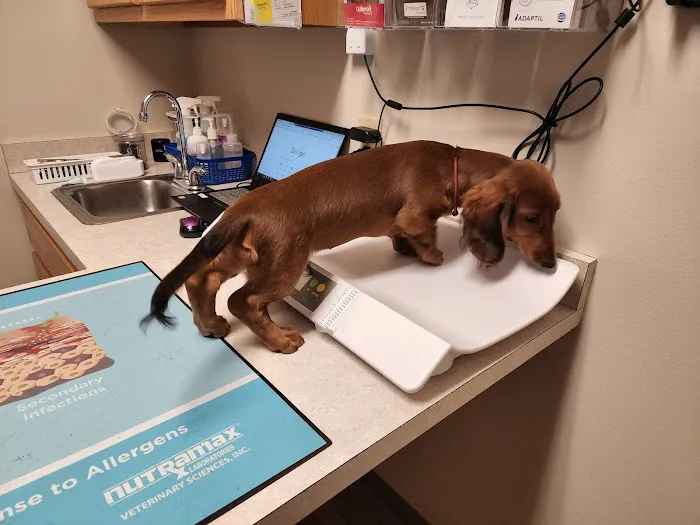 College Mall Veterinary Hospital 4