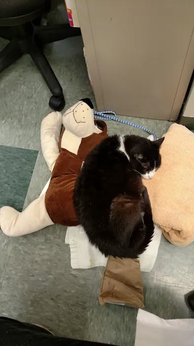 College Mall Veterinary Hospital 6