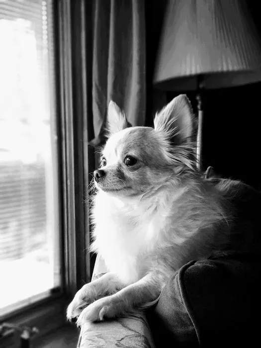 Bloomington Veterinary Hospital 9