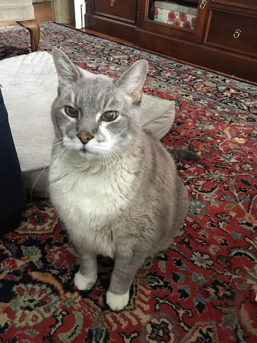 Bloomington Veterinary Hospital 8