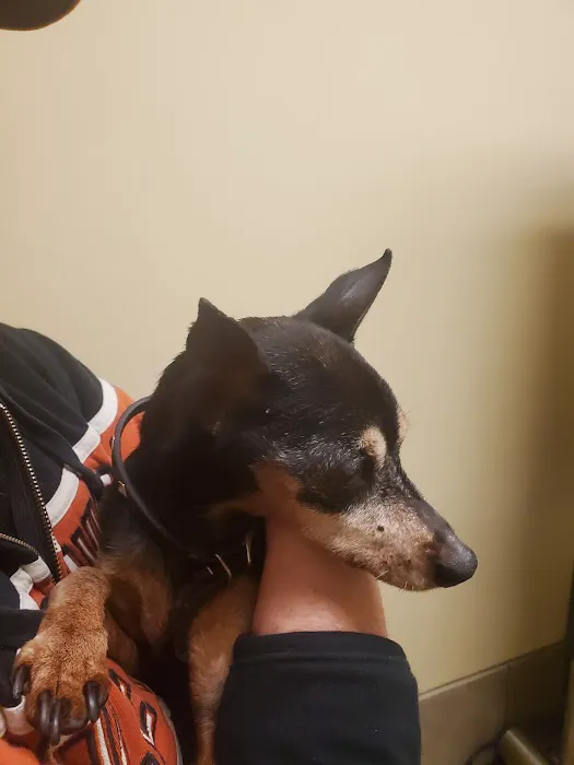 Columbus Animal Hospital 1