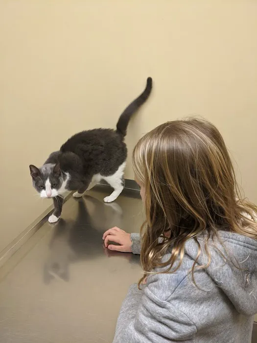Columbus Animal Hospital 8