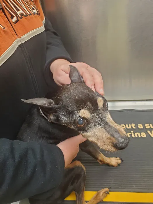 Columbus Animal Hospital 9