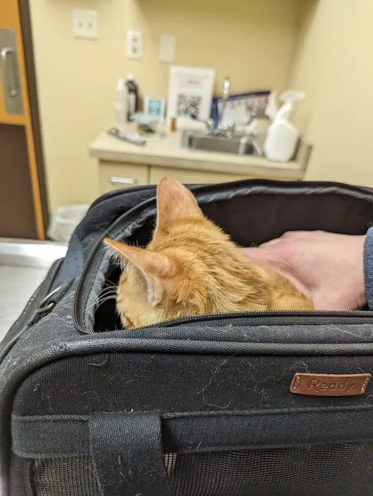 Columbus Animal Hospital 7