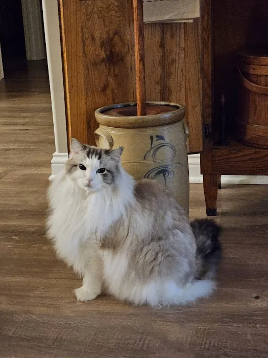 Columbus Animal Hospital 10