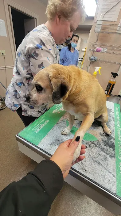 Athens Animal Clinic 3