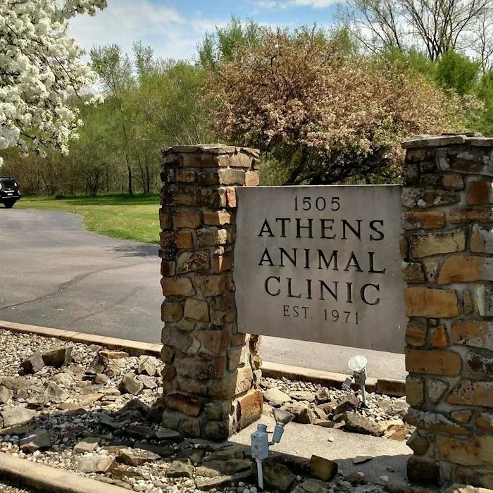 Athens Animal Clinic 5