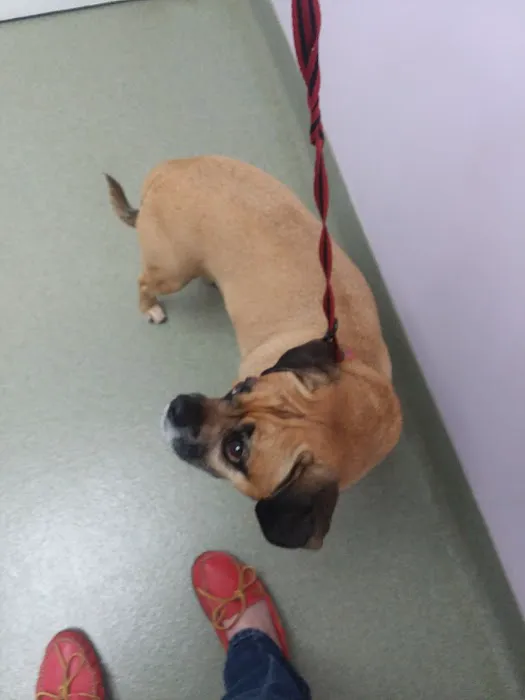 Athens Animal Clinic 9
