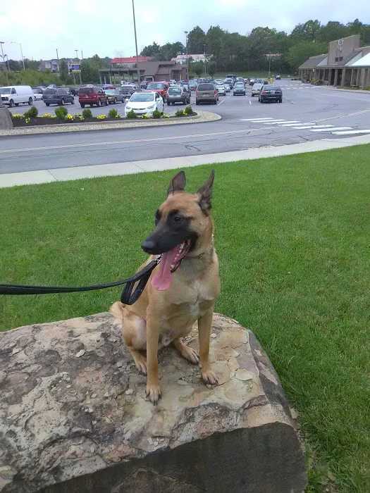 Hope Veterinary Clinic West 12