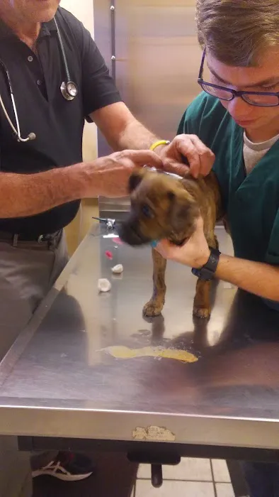 Best Friends Animal Healthcare 12