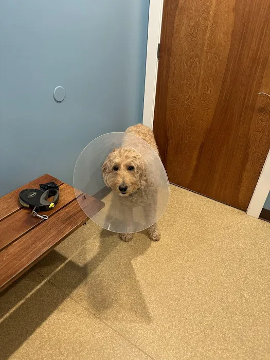 Columbus Veterinary Services 7