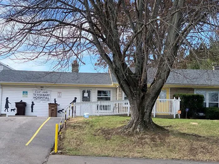 Eastside Veterinary Hospital 12