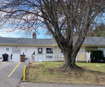 Eastside Veterinary Hospital