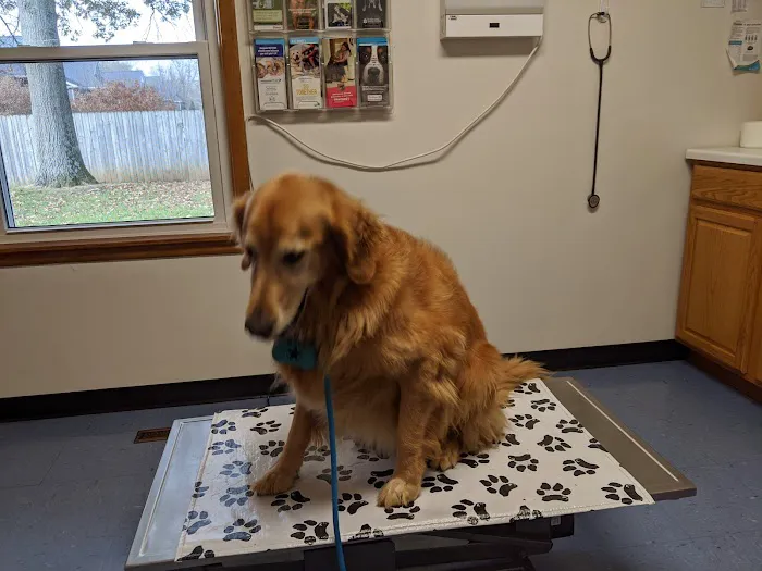 Eastside Veterinary Hospital 12