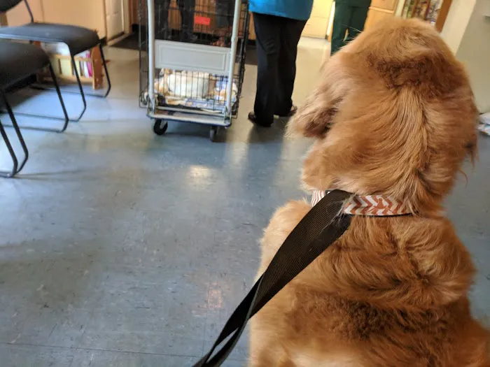 Eastside Veterinary Hospital 12
