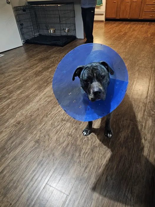 Hope Veterinary Clinic: East 12
