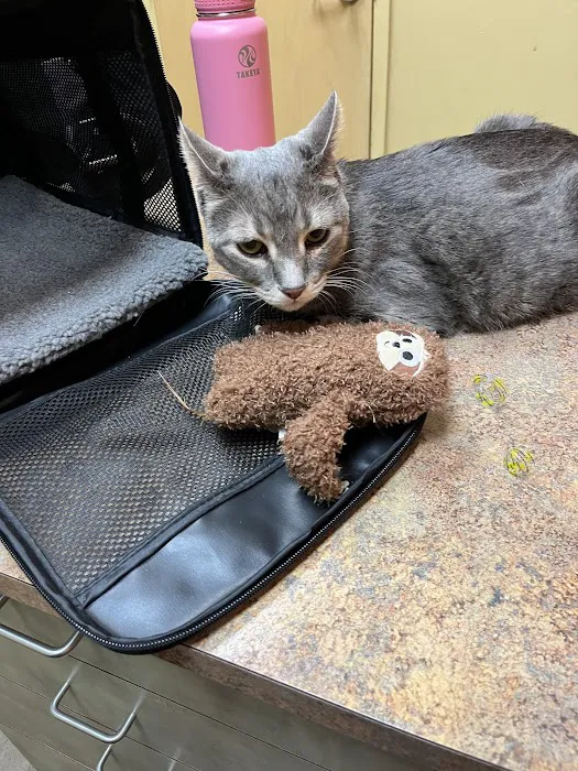 Kyle Veterinary Hospital 12