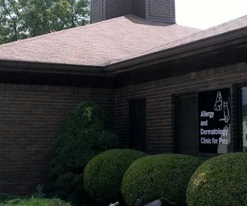 Veterinary Dermatology Services