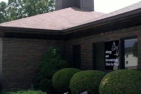 Veterinary Dermatology Services