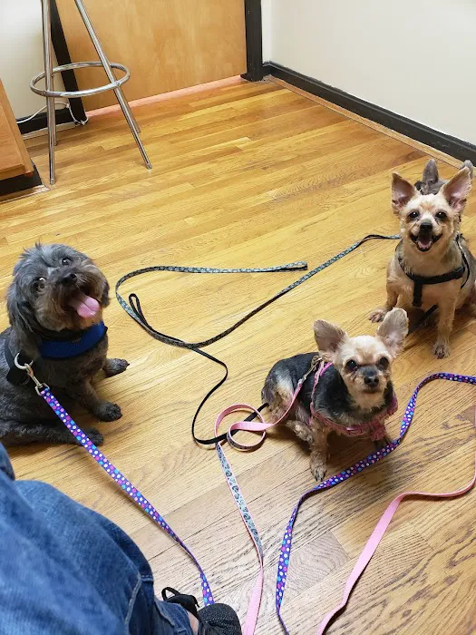 Warm Animal Hospital 12