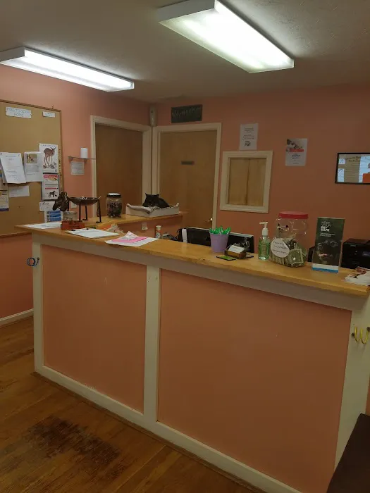 Warm Animal Hospital 12