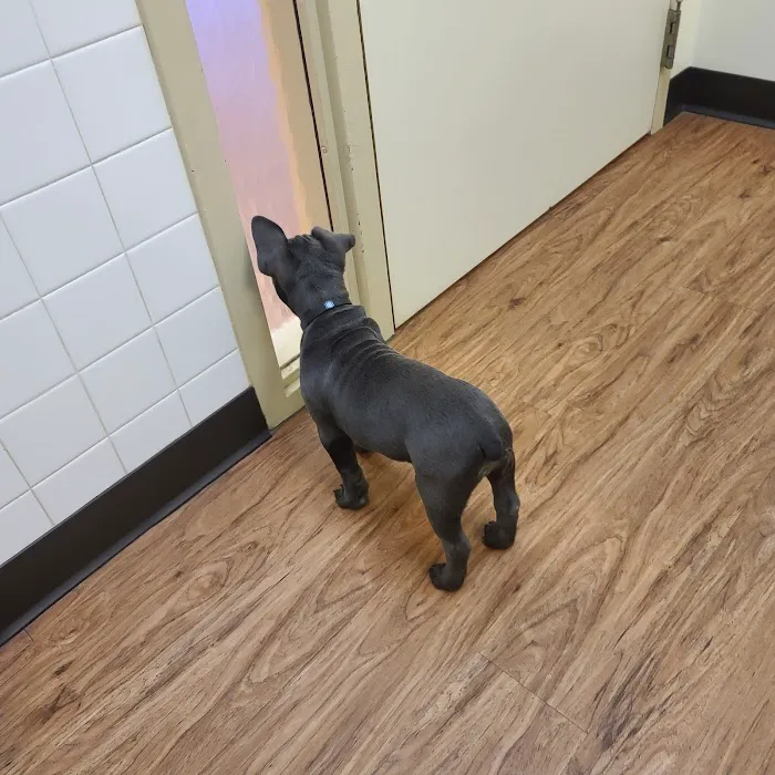 Animal Care Center at Reed Hartman 5