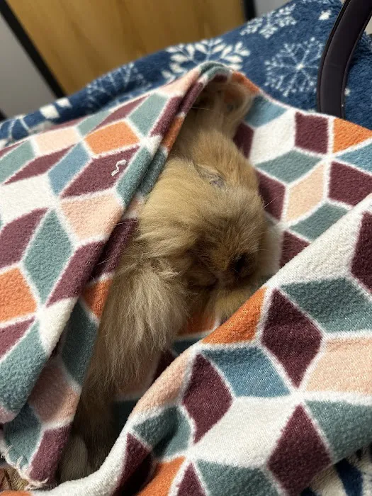 My Pet's Vet Mason 2