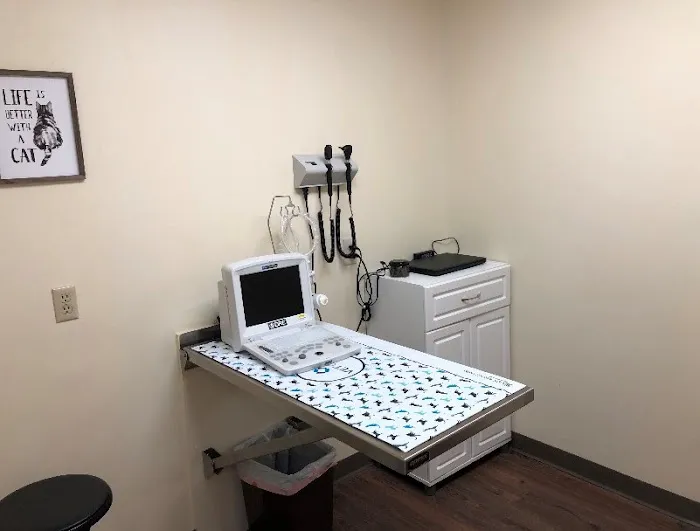 My Pet's Vet Mason 3