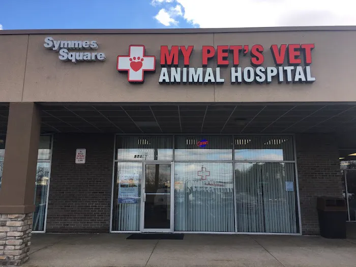 My Pet's Vet Mason 1