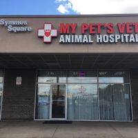 My Pet's Vet Mason ico