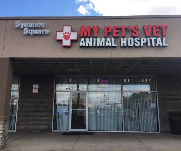 My Pet's Vet Mason
