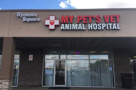 My Pet's Vet Mason