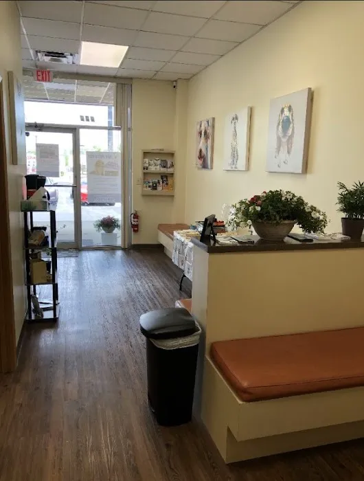 My Pet's Vet Mason 6