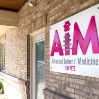 Advanced Internal Medicine for Pets ico