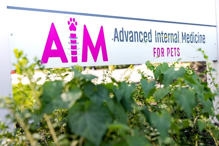 Advanced Internal Medicine for Pets 4